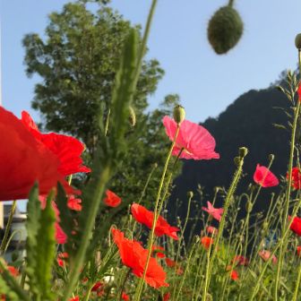 Stans_Bitzistrasse_Umgebung